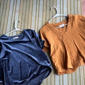 Madewell Black Velvet and Brown Textured Blouses